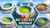 Real World Cup Cricket league screenshot 5