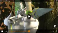 VLC screenshot 5