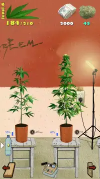 Weed Firm screenshot 4