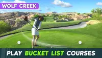 WGT Golf screenshot 3