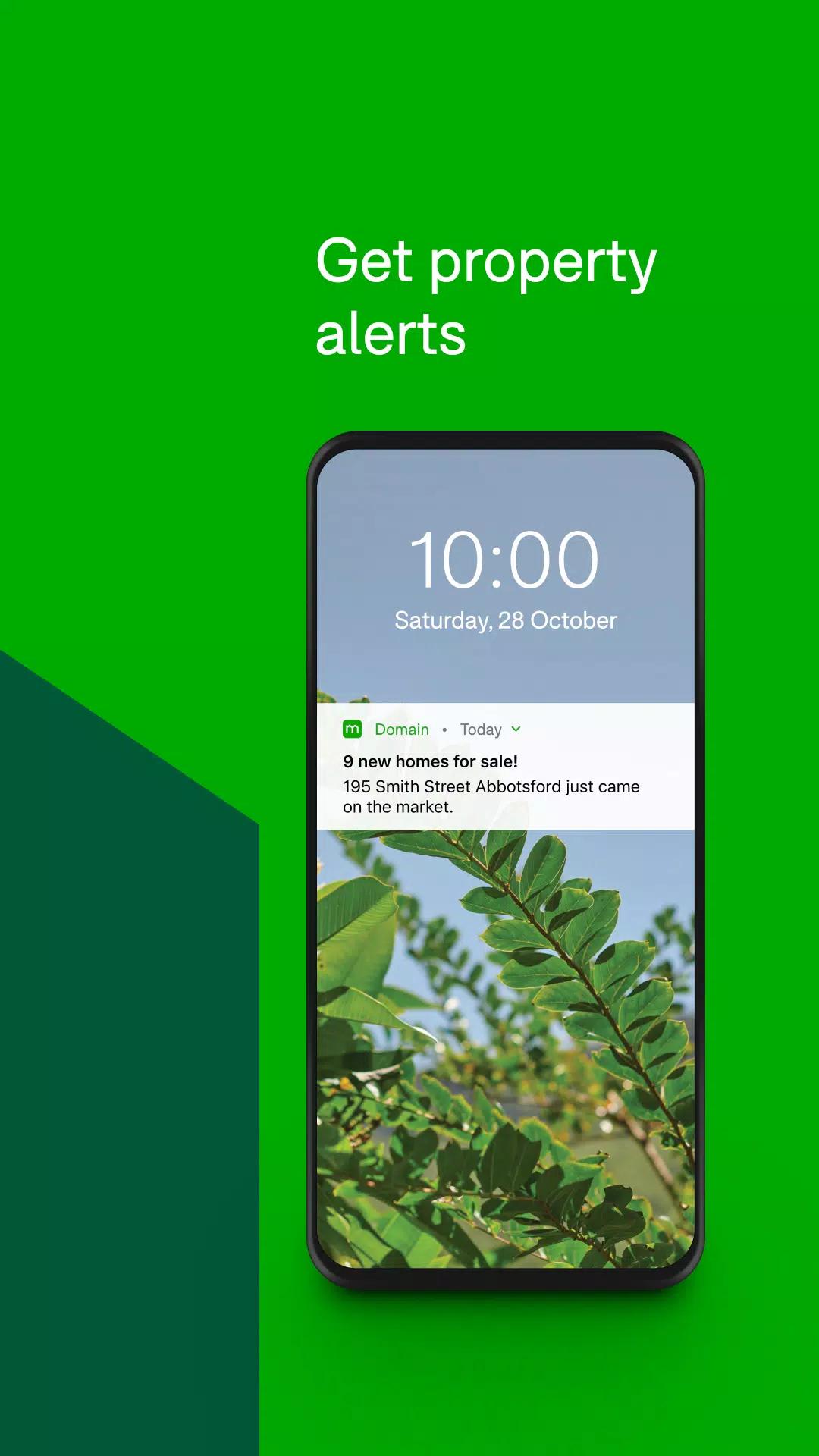 Domain screenshot 5