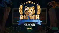 XDragon-XTiger&Gold screenshot 5