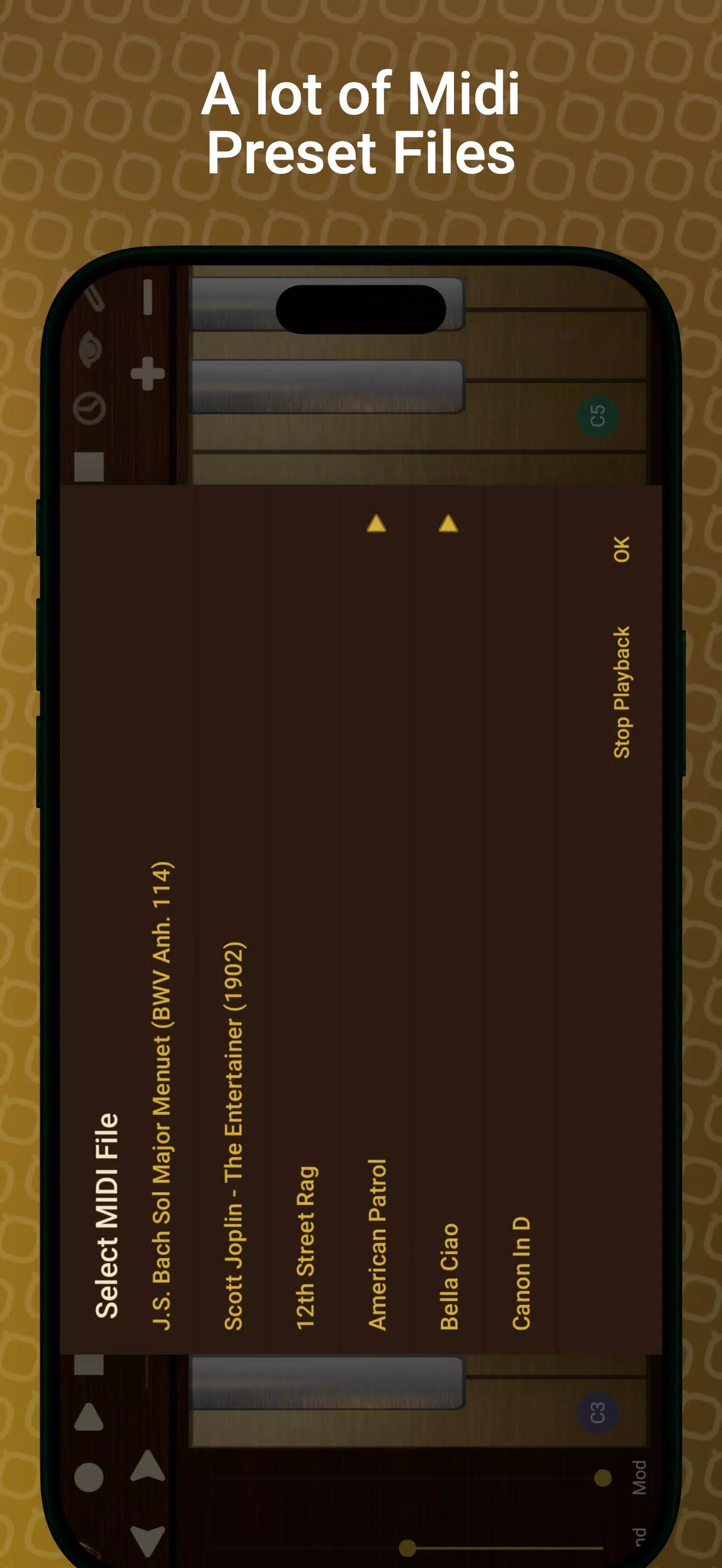 Professional Tuba screenshot 8