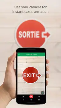 Google Translate screenshot 2
