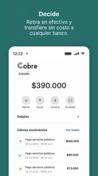 Cobre screenshot 3