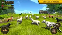 Pitbull Games: Fight Dogs Game screenshot 4