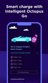 Octopus screenshot 4