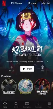 Netflix screenshot 3
