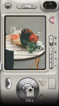 OldRoll screenshot 8