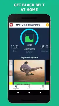 Mastering Taekwondo screenshot 5