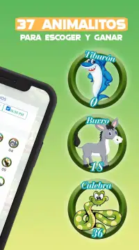Ruleta Royal screenshot 4