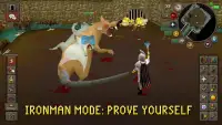 Old School RuneScape screenshot 5