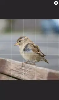 Drawing Grid screenshot 5