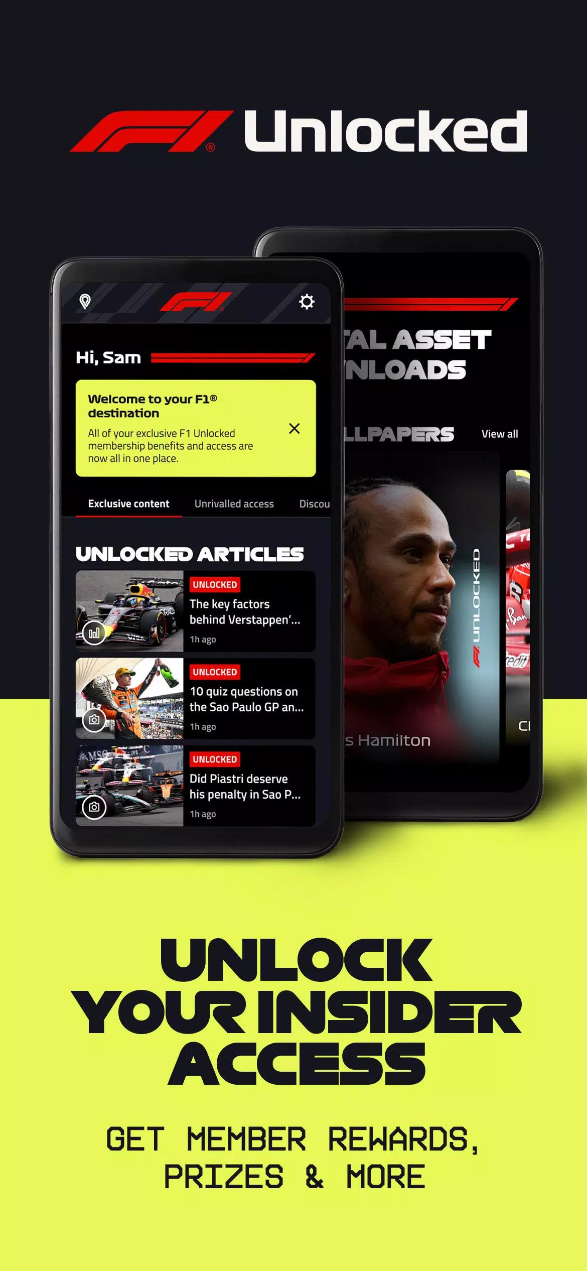 Formula 1® screenshot 15