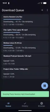Download All Files screenshot 1